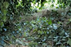 1800176_482506201887014_774043999906299713_o_482506201887014