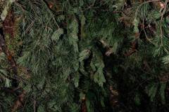 1912003_482505928553708_3012426155259976620_o_482505928553708