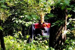 1073893_305324899605146_996502273_o_305324899605146