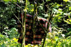 1078955_305324932938476_781077367_o_305324932938476