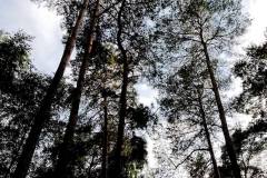 1074390_305319992938970_892462632_o_305319992938970