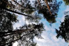 1078902_305319922938977_492248324_o_305319922938977