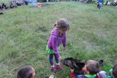 13567080_776772039127094_6312470601493833228_n_776772039127094