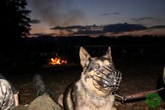 10562596_472132556257712_2052585728102639562_o_472132556257712