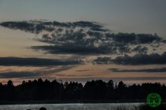 10582985_472132402924394_3957886266299698569_o_472132402924394