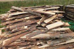 480077_150564895081148_832684154_n_150564895081148