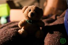 10572148_477743069029994_4215517305382787991_o_477743069029994