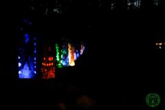 10630723_477742965696671_3048683936544524326_o_477742965696671