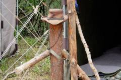 1073903_305317692939200_2101780138_o_305317692939200