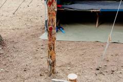 1075566_305318239605812_8208957_o_305318239605812