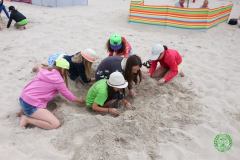 13533099_774821305988834_1174443162872222213_n_774821305988834