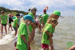 13537539_774822322655399_2719053554220359837_n_774822322655399