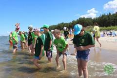 13590261_774822222655409_2934659553228758052_n_774822222655409