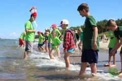 13592297_774821915988773_3716397899256289080_n_774821915988773