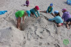 13600299_774821532655478_637052157530989899_n_774821532655478