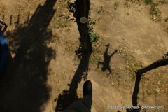 192056_157360441068260_1512626047_o_157360441068260