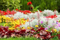 10382587_494161307388170_6468906403966354544_o_494161307388170