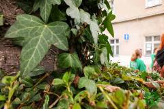 10582792_494161337388167_8414666347769712606_o_494161337388167