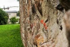 10710271_494161500721484_4308233359813134752_o_494161500721484