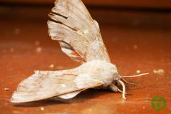 10714106_494161147388186_3897098146699230107_o_494161147388186