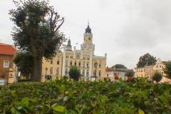 1956811_494159664055001_4126970237444565597_o_494159664055001