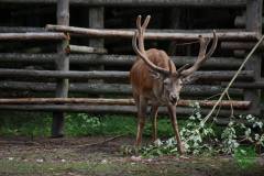 13590225_777884699015828_1031646624488193830_n_777884699015828