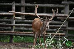 13592772_777884792349152_5449655396181178351_n_777884792349152