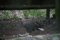 13599963_777884939015804_6405101802710615852_n_777884939015804