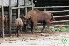 13606716_777884545682510_4267107973873876283_n_777884545682510