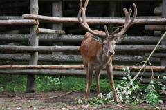 13606964_777884769015821_18824520596291317_n_777884769015821