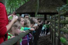 13620051_777884845682480_3096395256777950137_n_777884845682480