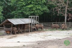 13620878_777884552349176_8611416056693017540_n_777884552349176