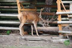 13626339_777884652349166_4197881213558447711_n_777884652349166