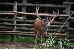 13626442_777884762349155_1013894869940207406_n_777884762349155