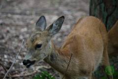 13627014_777884865682478_3416517388535846993_n_777884865682478