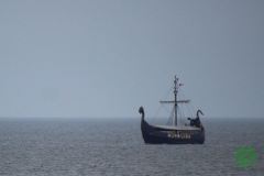 13654411_777885052349126_2819688803682995528_n_777885052349126