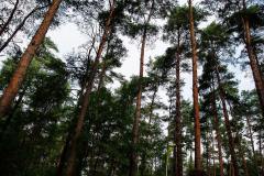 1082106_305333636270939_335943877_o_305333636270939