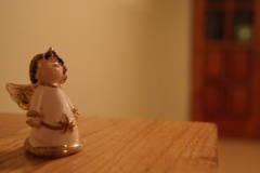SONY DSC