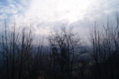 SONY DSC