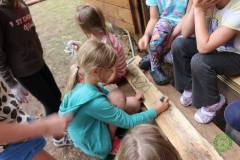 13438877_774979922639639_3934180423722525417_n_774979922639639