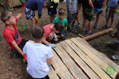 13537636_774978985973066_4525620057344050482_n_774978985973066