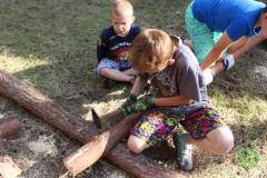 13590377_774980692639562_921302654223518152_n_774980692639562