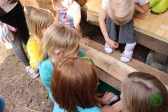 13615382_774979502639681_5429631514494173228_n_774979502639681