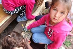 13619861_774979615973003_1549631479908608914_n_774979615973003