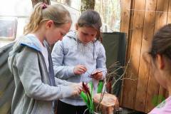 13590469_775259995944965_4491890389554691635_n_775259995944965