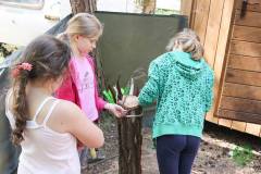 13620085_775260092611622_7590440332696091631_n_775260092611622