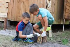 13620850_775259899278308_7592712917748788367_n_775259899278308