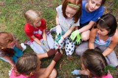 13626369_775259385945026_7888208014719185801_n_775259385945026